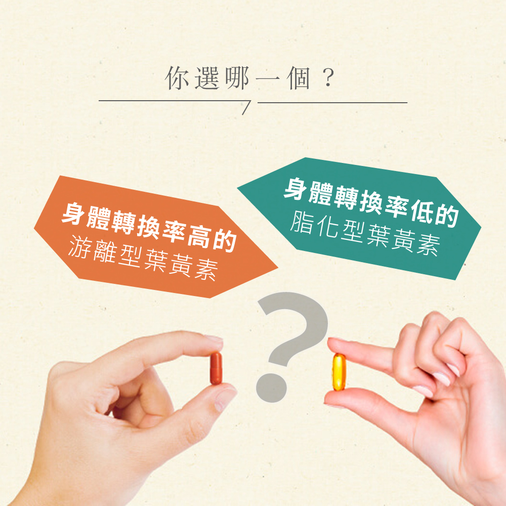 蔓越莓C網頁2-19-08