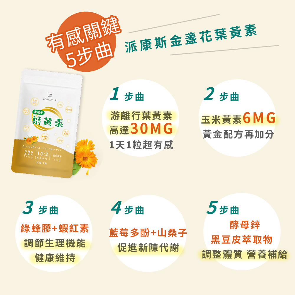 蔓越莓C網頁2-19-10