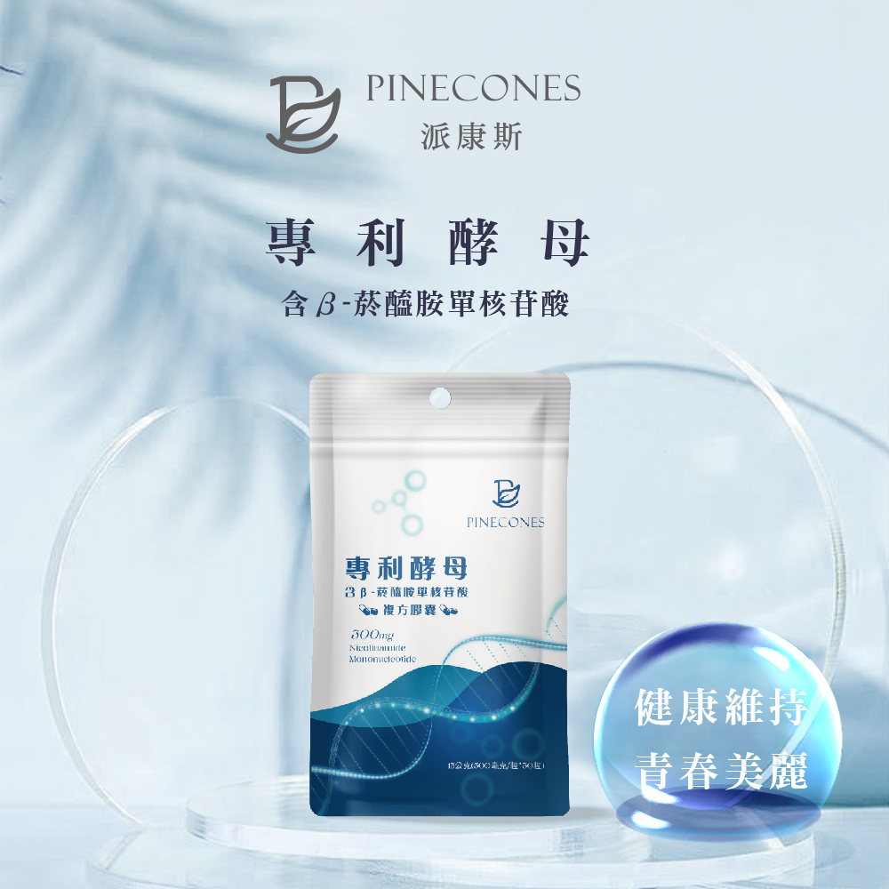 NMN網頁_工作區域 1_0